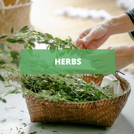 Herbs